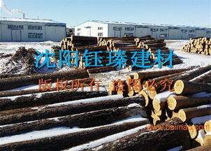 朝阳木材加工厂 朝阳木方批发价格 朝阳建筑模板批发,朝阳木材加工厂 朝阳木方批发价格 朝阳建筑模板批发生产厂家,朝阳木材加工厂 朝阳木方批发价格 朝阳建筑模板批发价格